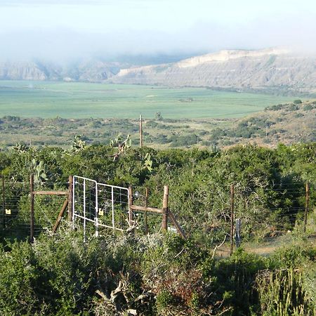 Kudu Ridge Game Lodge Addo Eksteriør bilde