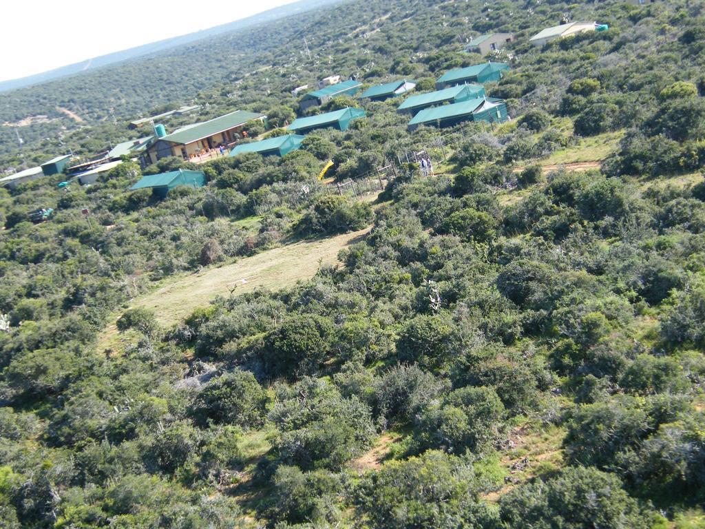 Kudu Ridge Game Lodge Addo Eksteriør bilde