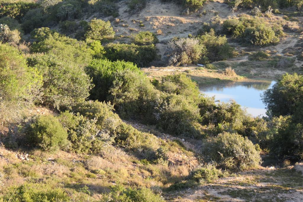 Kudu Ridge Game Lodge Addo Eksteriør bilde