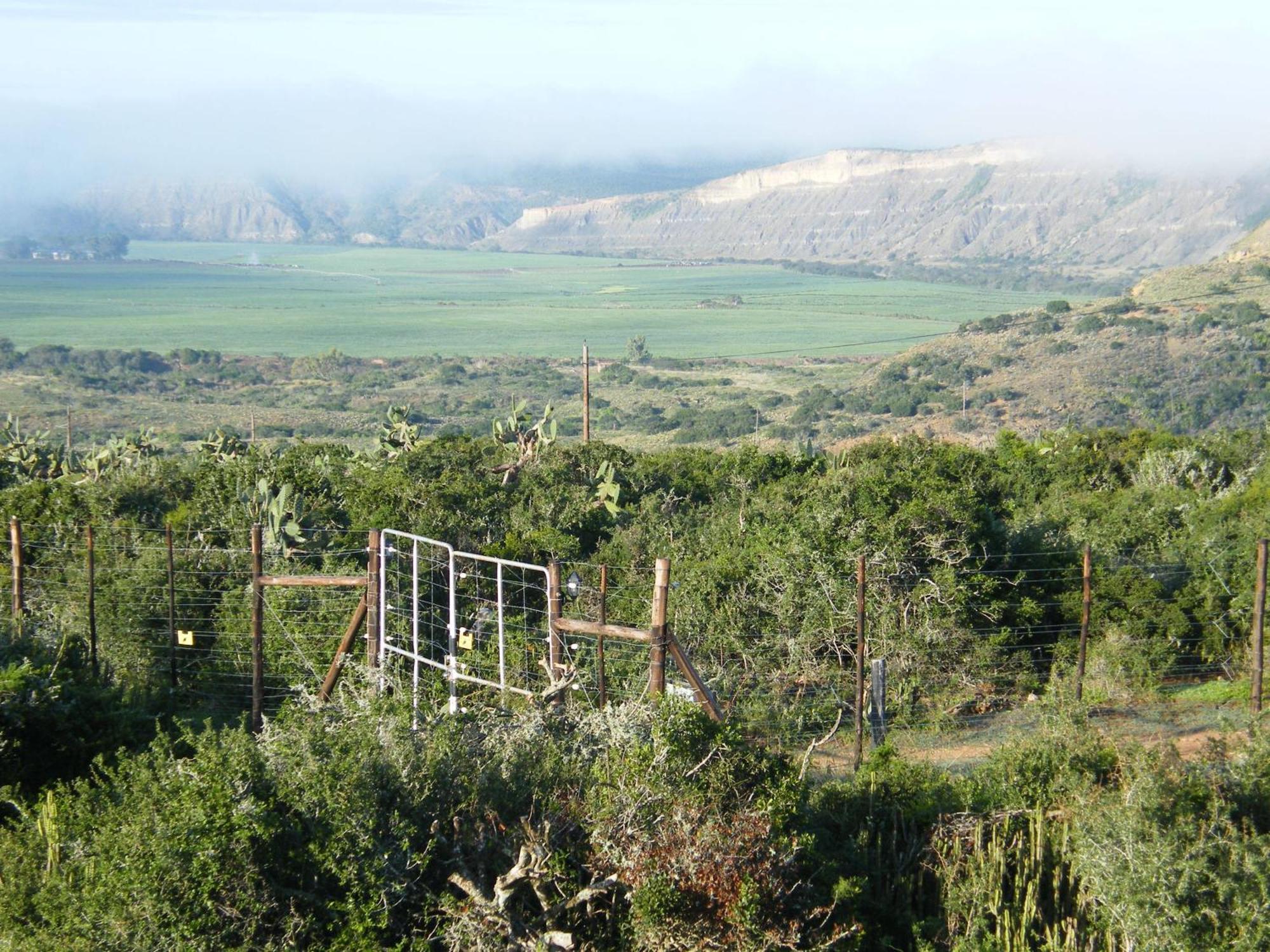 Kudu Ridge Game Lodge Addo Eksteriør bilde