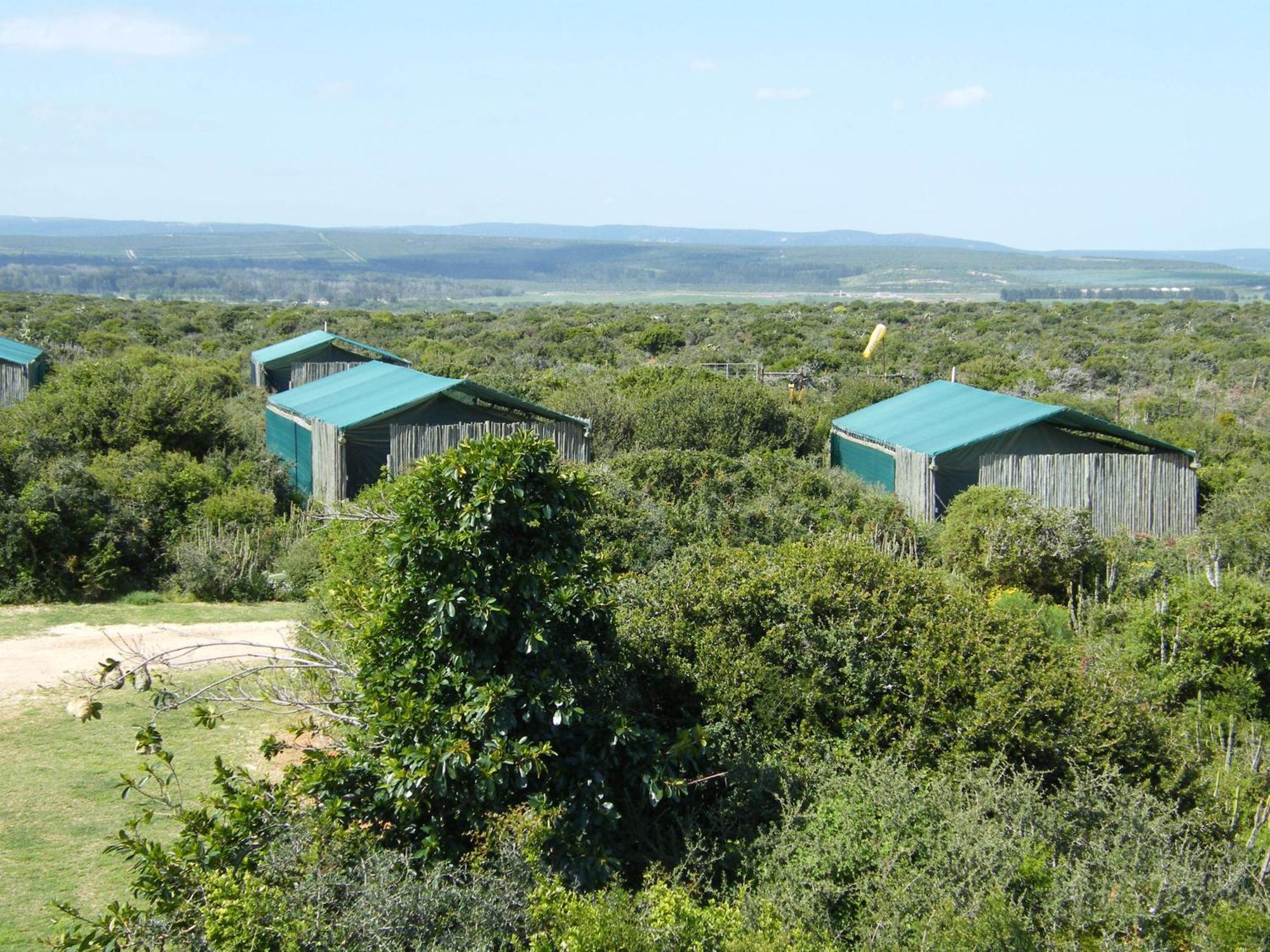 Kudu Ridge Game Lodge Addo Rom bilde