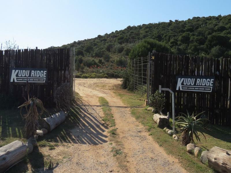 Kudu Ridge Game Lodge Addo Eksteriør bilde